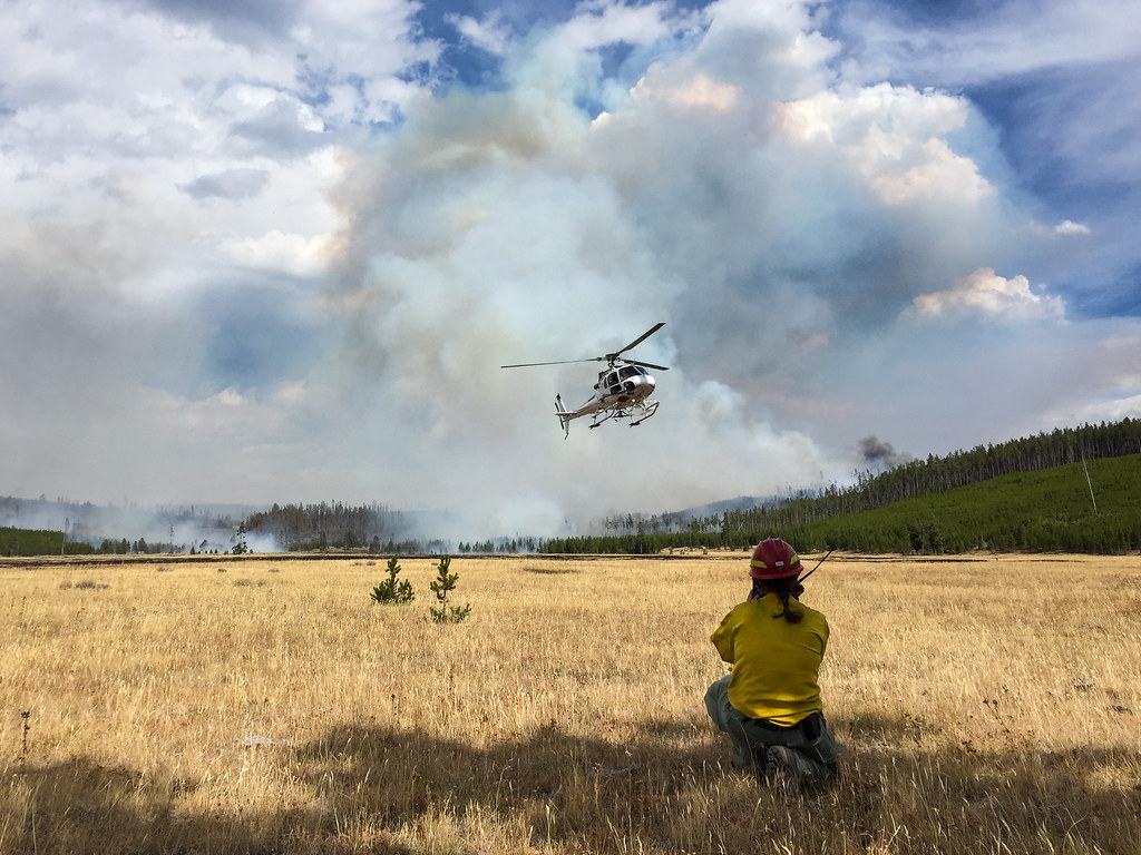Fire crews working a controlled burn near a maple forest